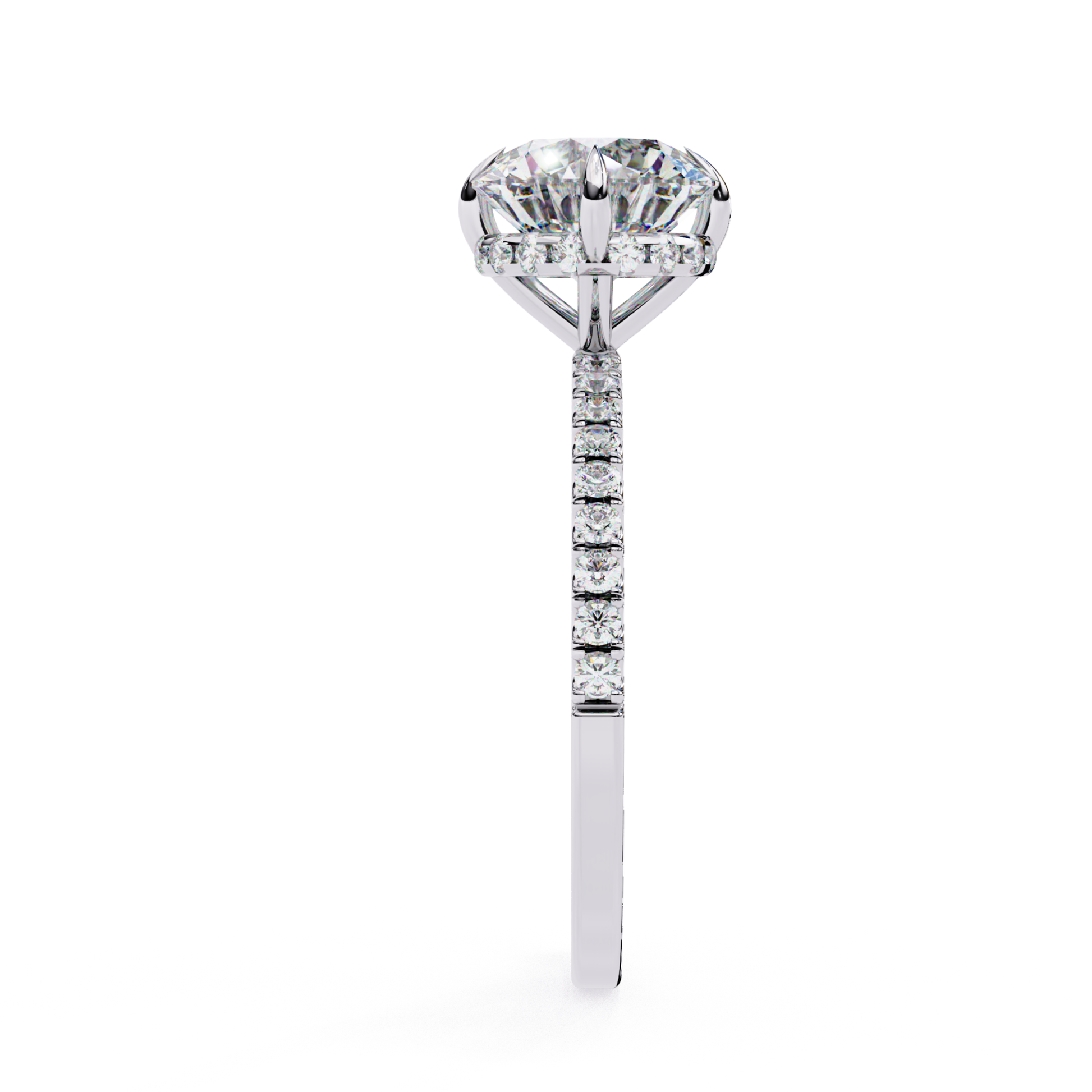 Side view of white gold diamond ring
Diamond ring in white gold from the side
Elegant white gold ring with diamonds
White gold ring with diamond accents
Side angle of white gold diamond ring
White gold ring with diamonds
White gold band with diamonds
Diamond studded white gold ring
White gold ring with diamonds on band
White gold diamond ring from the side